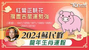 2024年風水布局|2024年龍年布局｜蘇民峰教家居風水布局 趨旺財運桃 